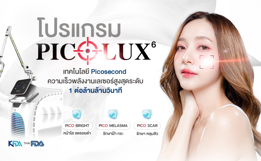 โปรแกรม Pico Laser